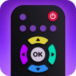 Universal TV Remote Control